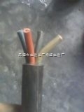 国标/JBQ电缆(电机引接线) 3*35+1价格-天津市电缆总厂橡塑电缆厂